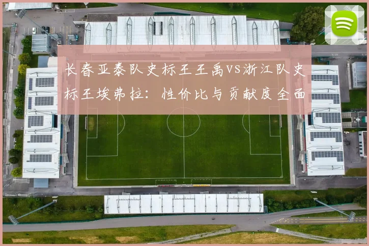 长春亚泰队史标王王禹vs浙江队史标王埃弗拉:性价比与贡献度全面对比