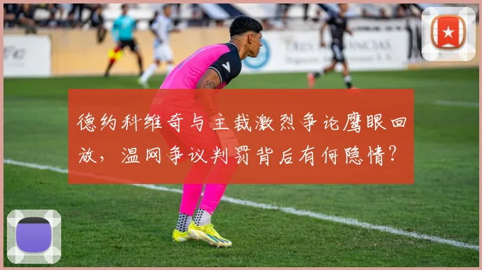 德约科维奇与主裁激烈争论鹰眼回放,温网争议判罚背后有何隐情?